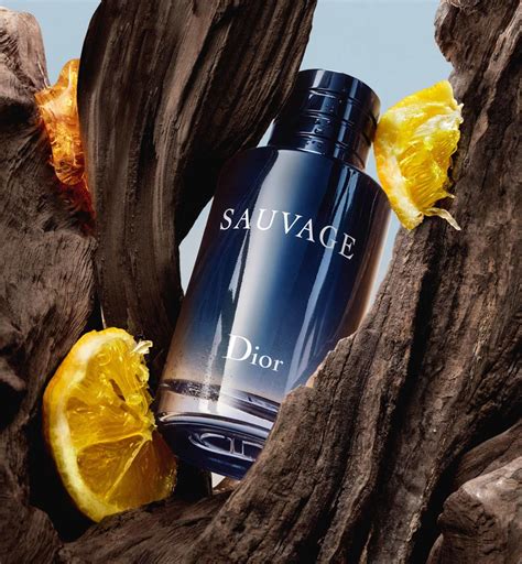 bewertung dior sauvage